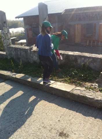 Ecology in Action!