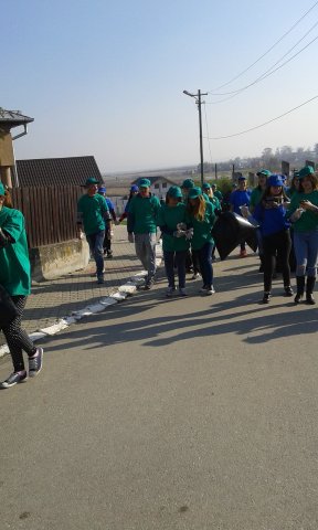 Ecology in Action!