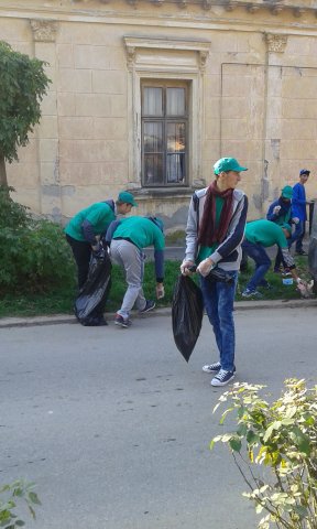 Ecology in Action!