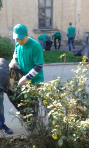 Ecology in Action!