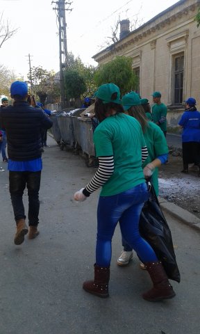 Ecology in Action!