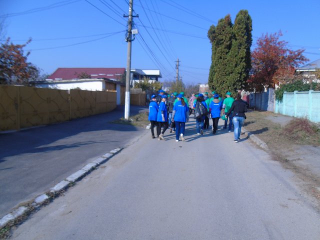 Ecology in Action!
